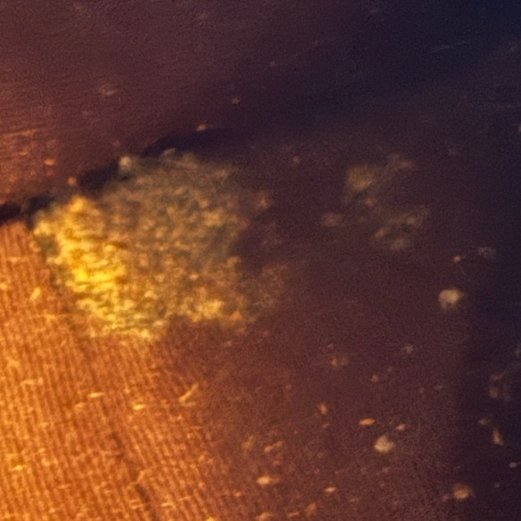 Coach Purple purse - Picture 10 of 12